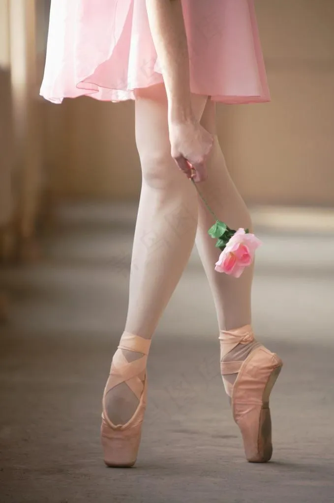 图片素材 芭蕾舞 脚 花 优美