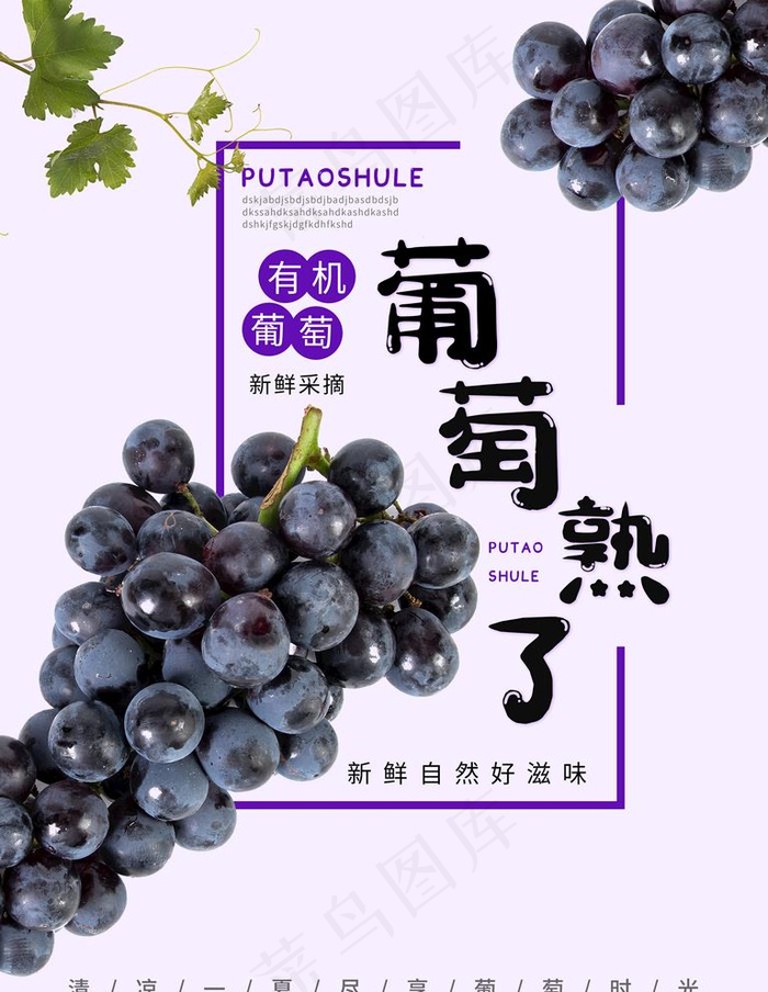 葡萄图片(3543X4724(DPI:150))psd模版下载