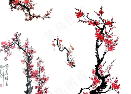 梅花图片 梅花图片