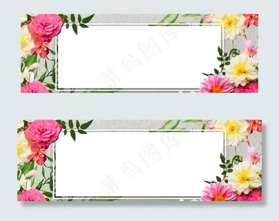 简约夏季植物花朵海报背景图片