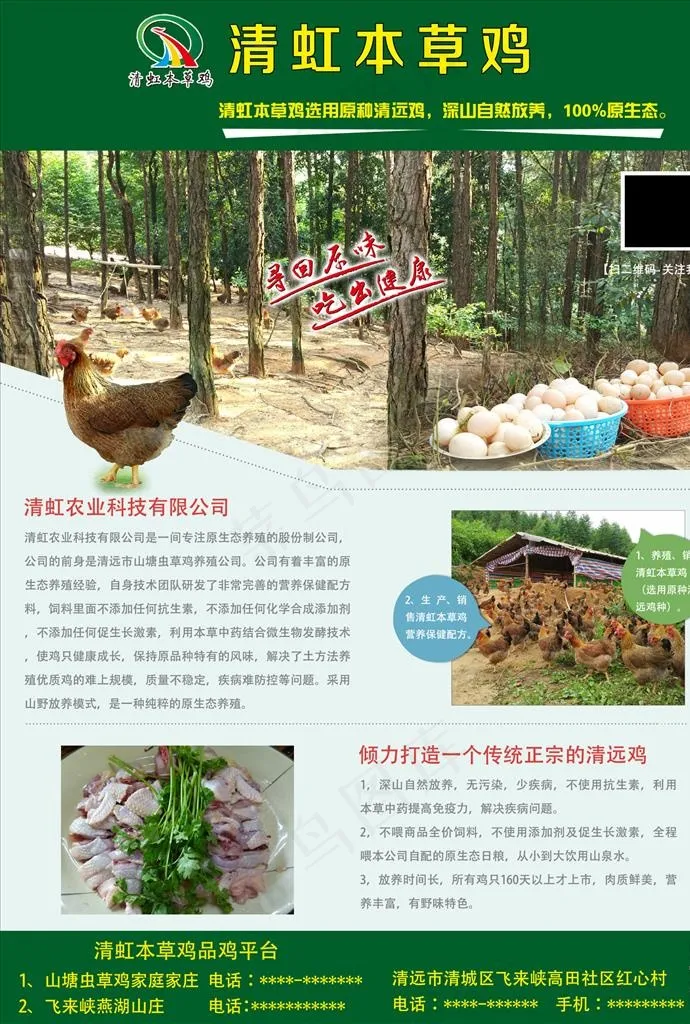 农产品画册宣传单张图片psd模版下载