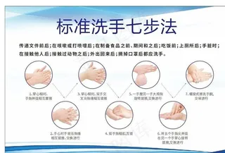 标准洗手七步法展板图片