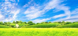 蓝天白云草地图片