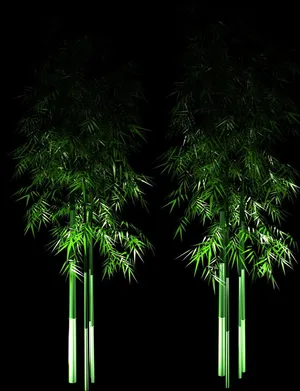 夜景树图片