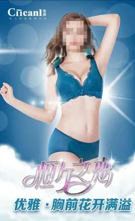 内衣海报图片