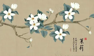 茉莉花背景墙图片