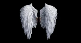 天使 翅膀图片