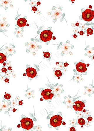 小碎花 罂粟花 数码印花 服装图片