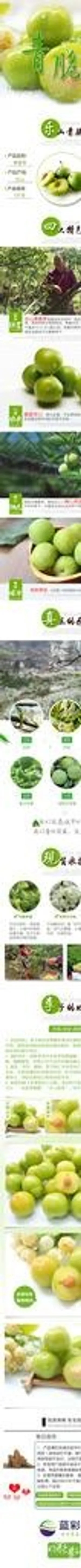 青脆李详情图图片