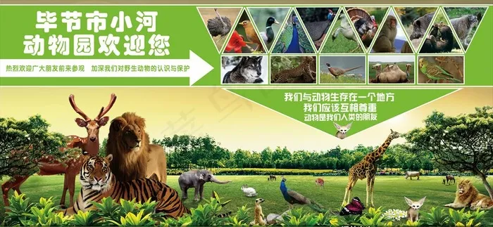 毕节动物园图片(7434X3654(DPI:32))psd模版下载