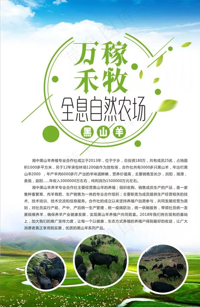 黑山羊海报图片(291X426)cdr矢量模版下载