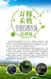 黑山羊海报图片