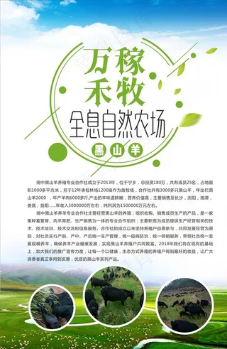 黑山羊海报图片