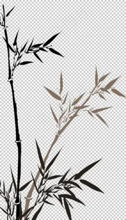 竹子图片 竹子图片