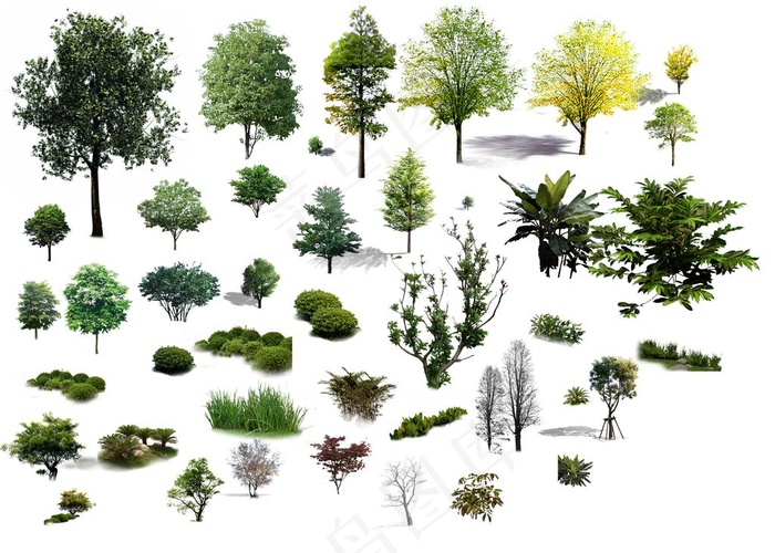 少量植物psd分层素材地被乔木图片