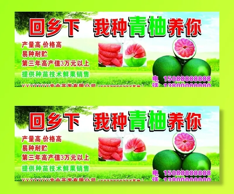 回乡下 我种青柚养你（农业 种图片