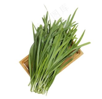韭菜图片