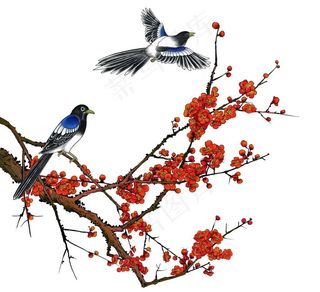 喜鹊登枝图片