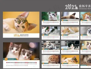 2021台历图片