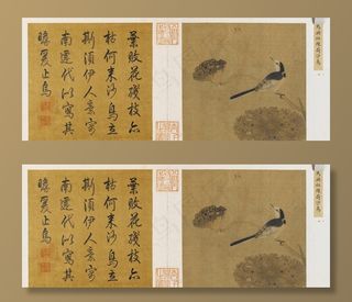 疏荷沙鸟图 古画图片