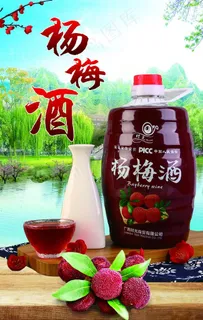 杨梅酒图片