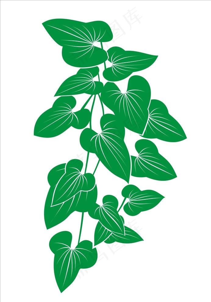 山药图片cdr矢量模版下载
