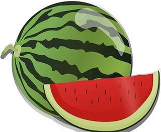 矢量西瓜图片