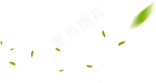手绘叶子图片