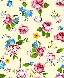 手绘花 蔷薇花图片