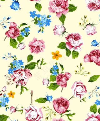 手绘花 蔷薇花图片