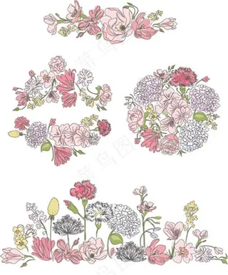 手绘康乃馨图片