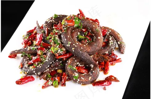 盘龙鳝 盘鳝 鳝鱼 黄鳝图片