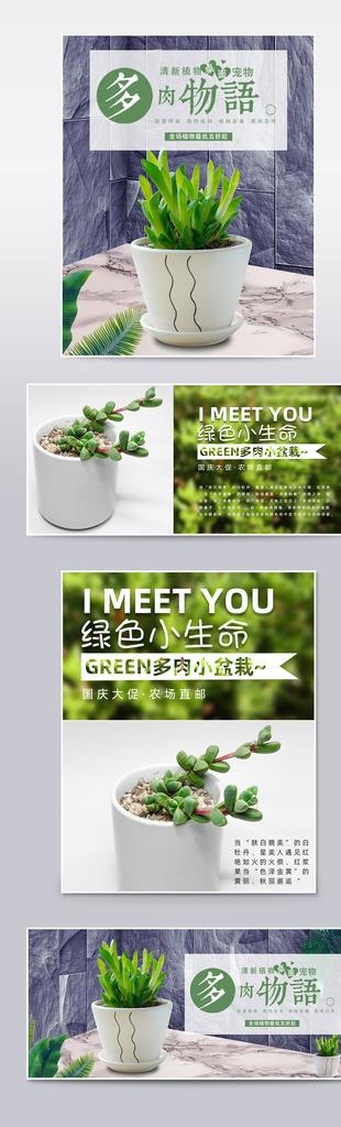 多肉植物详情图片(1024X3066(DPI:72))psd模版下载