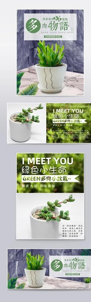 多肉植物详情图片(1024X3066(DPI:72))psd模版下载
