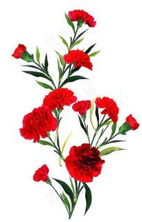 高清花朵图片 高清花朵图片