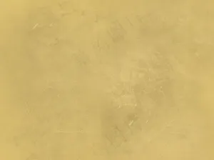 黄背景图片