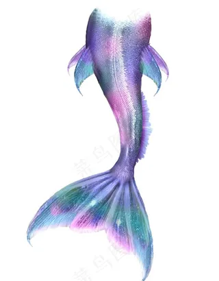美人鱼尾图片