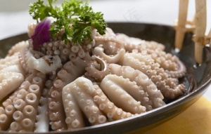 菜图片