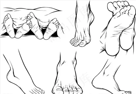 手绘线稿脚图片