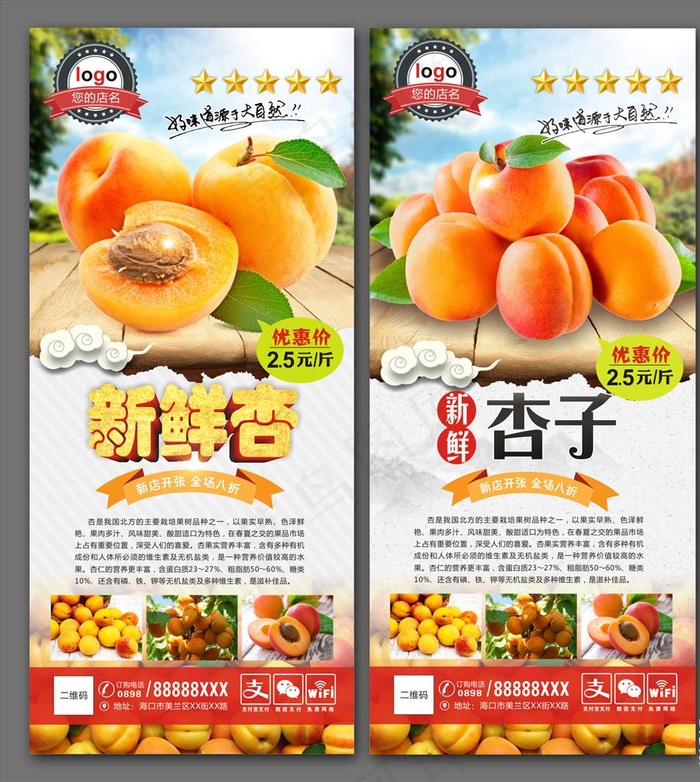 杏子图片