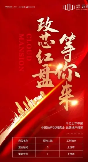 政芯红盘图片