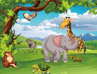 卡通森林动物图片