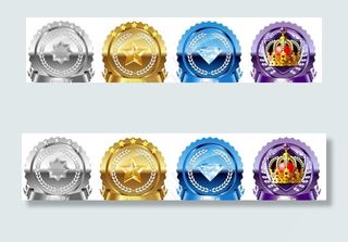 会员等级 勋章图片