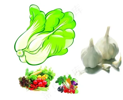 卡通白菜图片