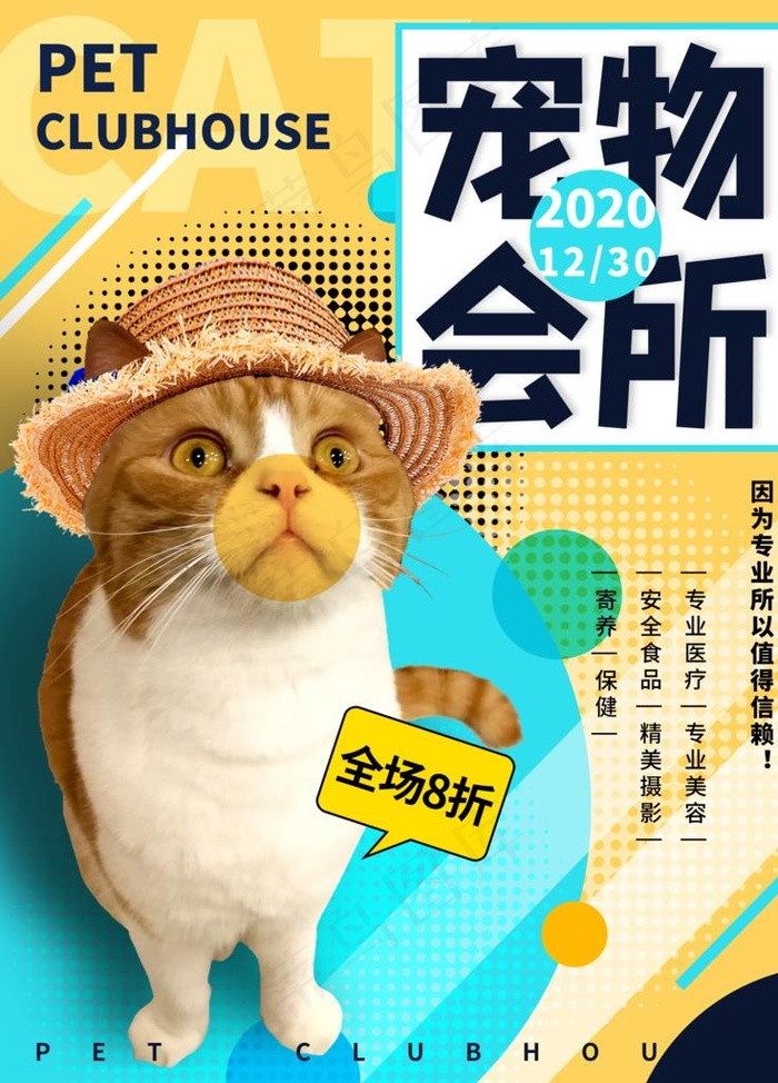宠物海报图片(3543X4725(DPI:150))psd模版下载