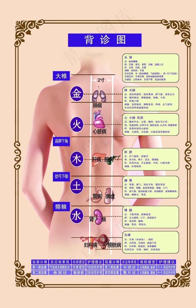 背诊图图片(2268X3402(DPI:72))psd模版下载