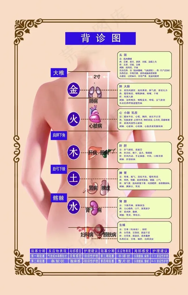 背诊图图片(2268X3402(DPI:72))psd模版下载