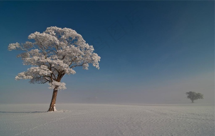 雪景图片