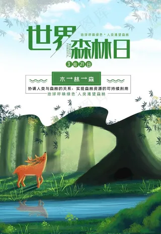 世界森林日图片