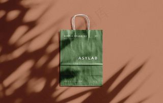 手提袋样机图片